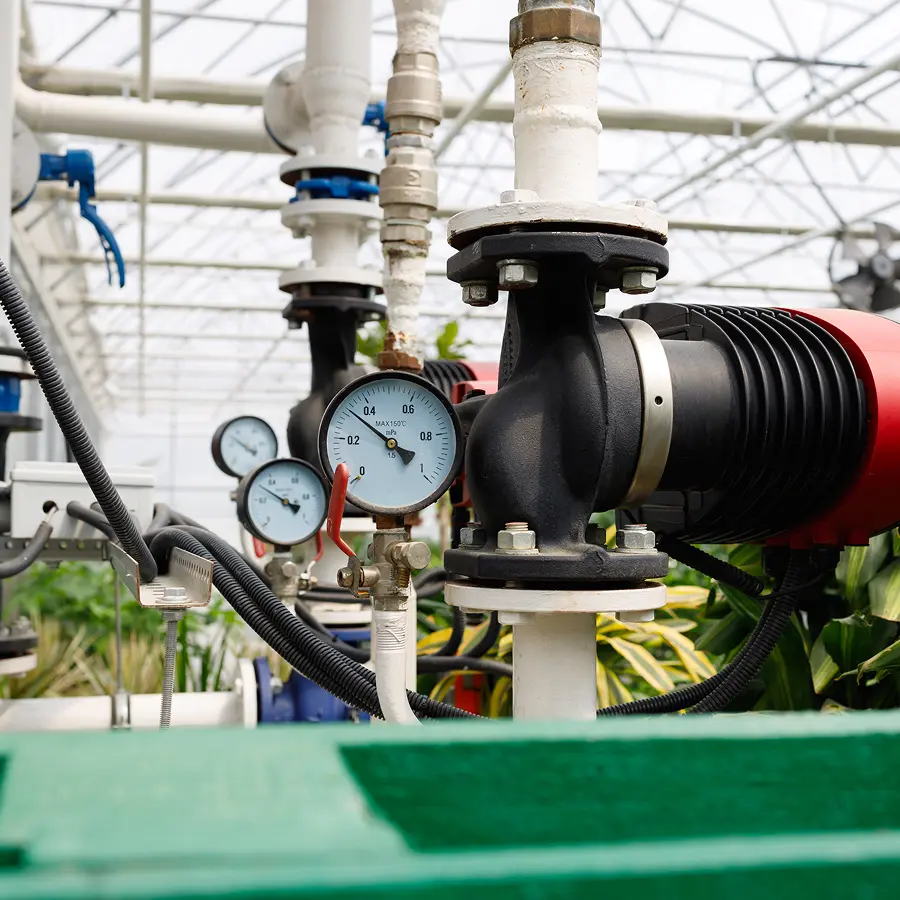 Automated Irrigation