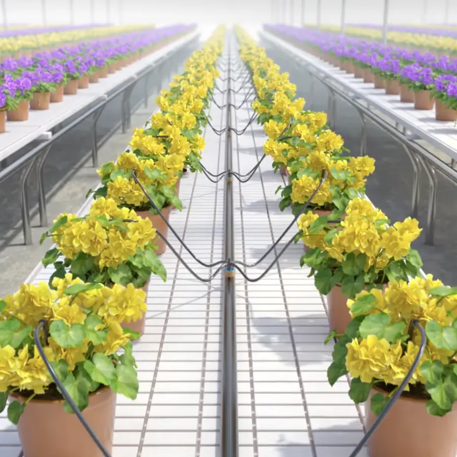 Automated Irrigation